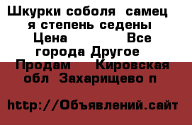 Шкурки соболя (самец) 1-я степень седены › Цена ­ 12 000 - Все города Другое » Продам   . Кировская обл.,Захарищево п.